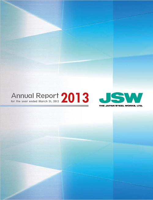 Annual Report 2013