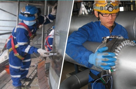 Inspection and Investigation