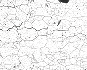 Schematic of replica method