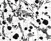 Schematic of replica method