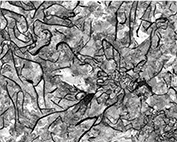 Schematic of replica method