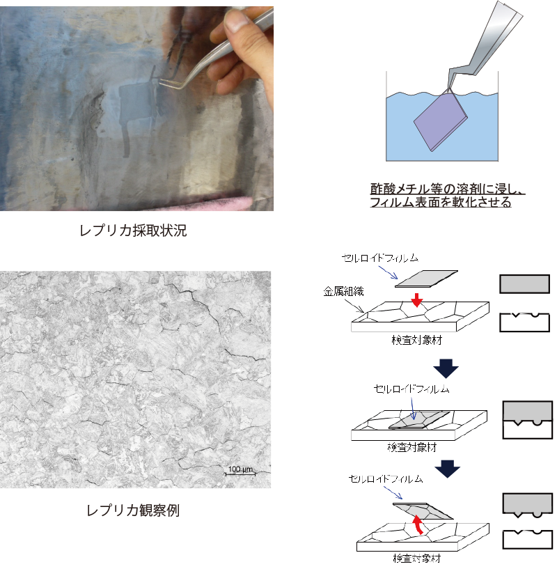 金属組織、きず性状（レプリカ法）