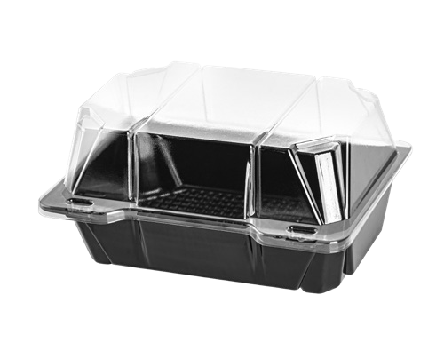Container